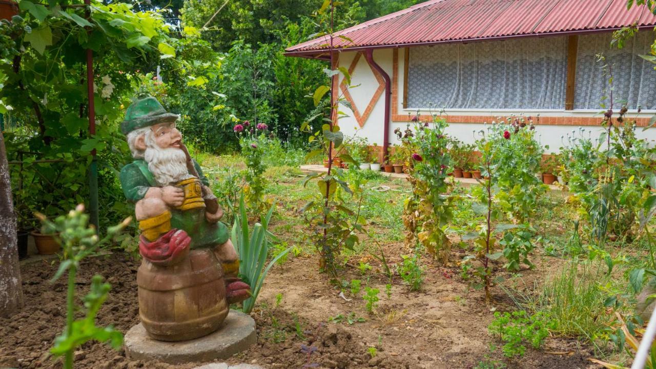 農家樂 Casa Din Gradina *