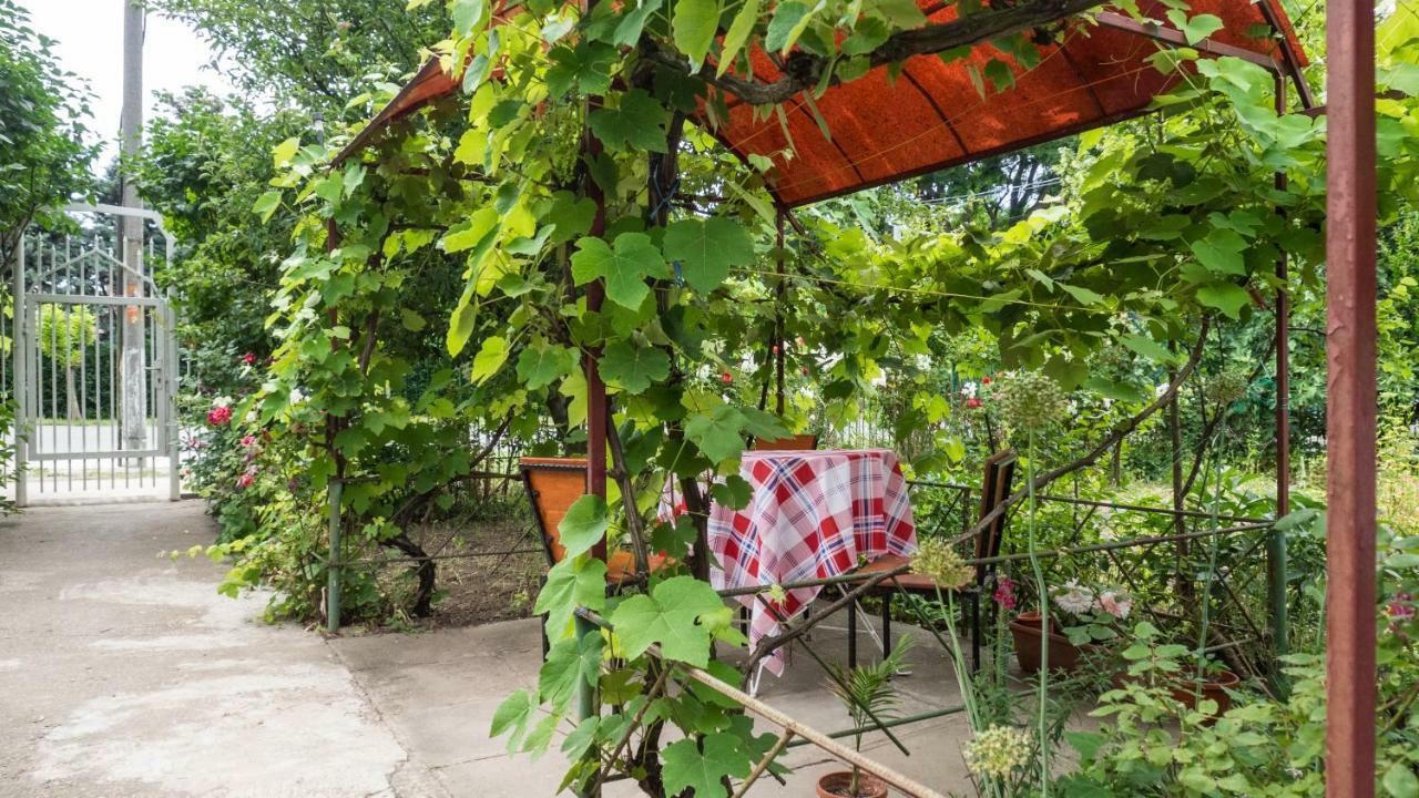 Casa Din Gradina 農家樂 Eforie Sud (Constanta)