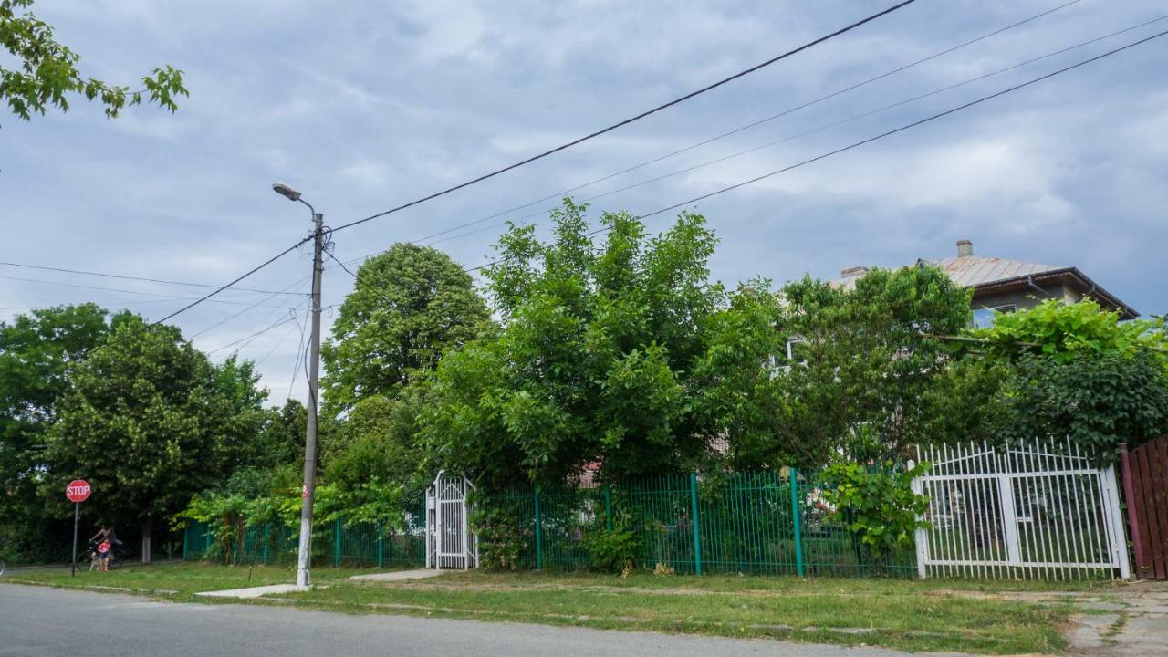 Casa Din Gradina