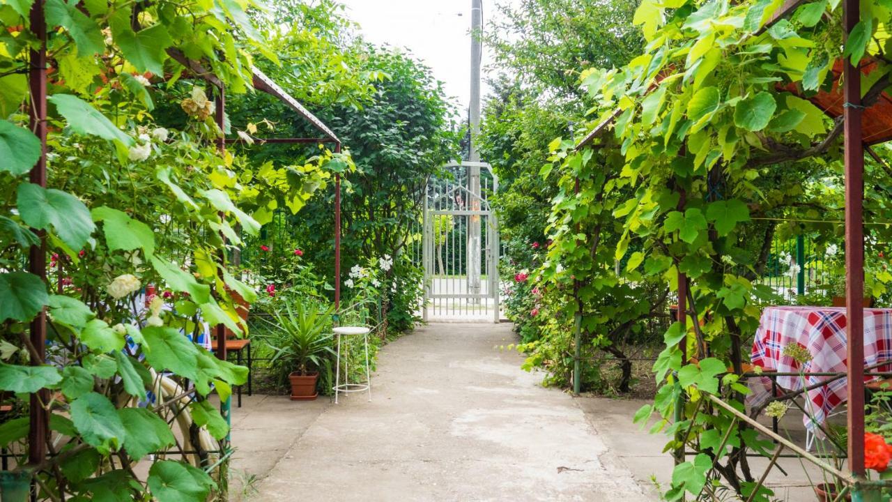 Casa Din Gradina * Eforie Sud (Constanta)